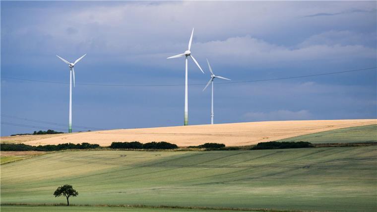 Landwirtschaftlich genutzte Fläche ist in Niedersachsen deutlich teurer geworden. (Archivbild)
