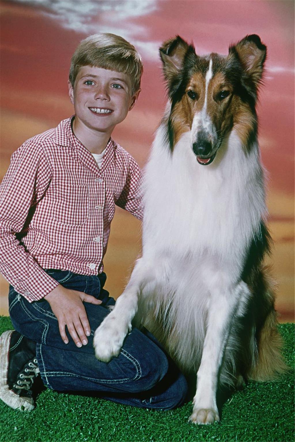 Lassie