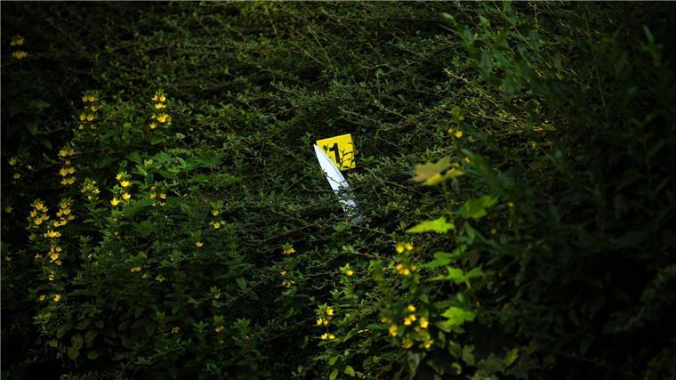 Tat im Rotlichtmilieu? Haftbefehle nach Messerstecherei Laut Polizei kamen auch Messer zum Einsatz.