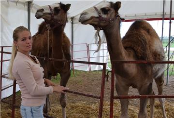Lavinia Renz und die Dromedare langweilen sich ein bisschen ohne Auftritte. „Wir gehören in die Manege“, sagt sie.