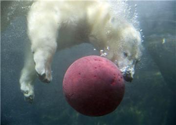Lili hat Spaß im Schwimmbecken.