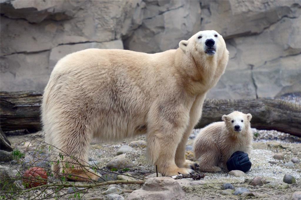 Lili und Valeska sind ein gutes Gespann. Mutter und Tochter stehen im April 2016...