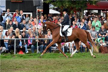 Lokalmatadorin Anja Duetsch gewann mit der Fuchsstute Brasilia das Finale der Re...