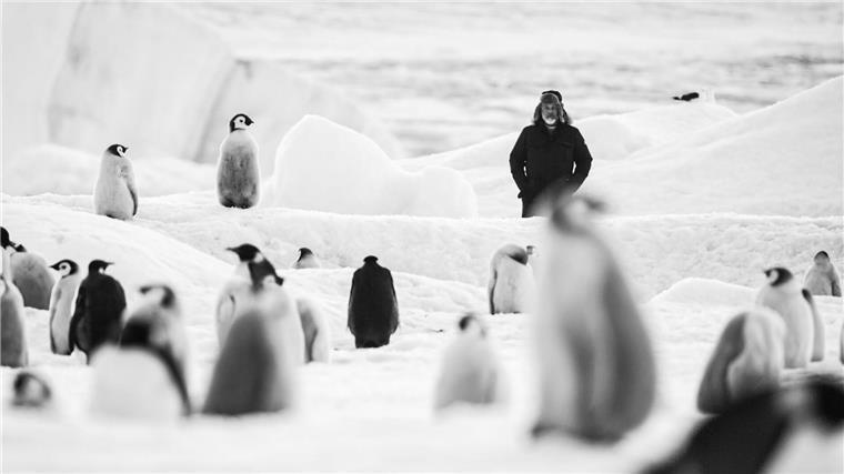 Die Filmstarts der Woche Luc Jacquet mit Kaiserpinguinen in einer Szene des Films „Rückkehr zum Land der Pinguine“.