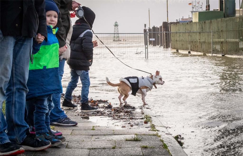 Luke und Hund Gizmo bestaunen die Flut am Fähranleger. Foto: Hartmann