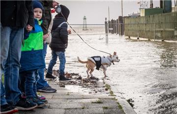 Luke und Hund Gizmo bestaunen die Flut am Fähranleger. Foto: Hartmann