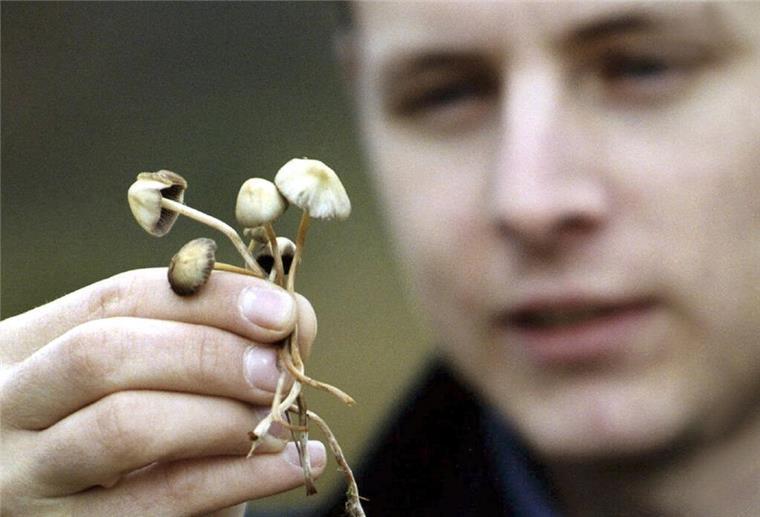 Magic mushrooms