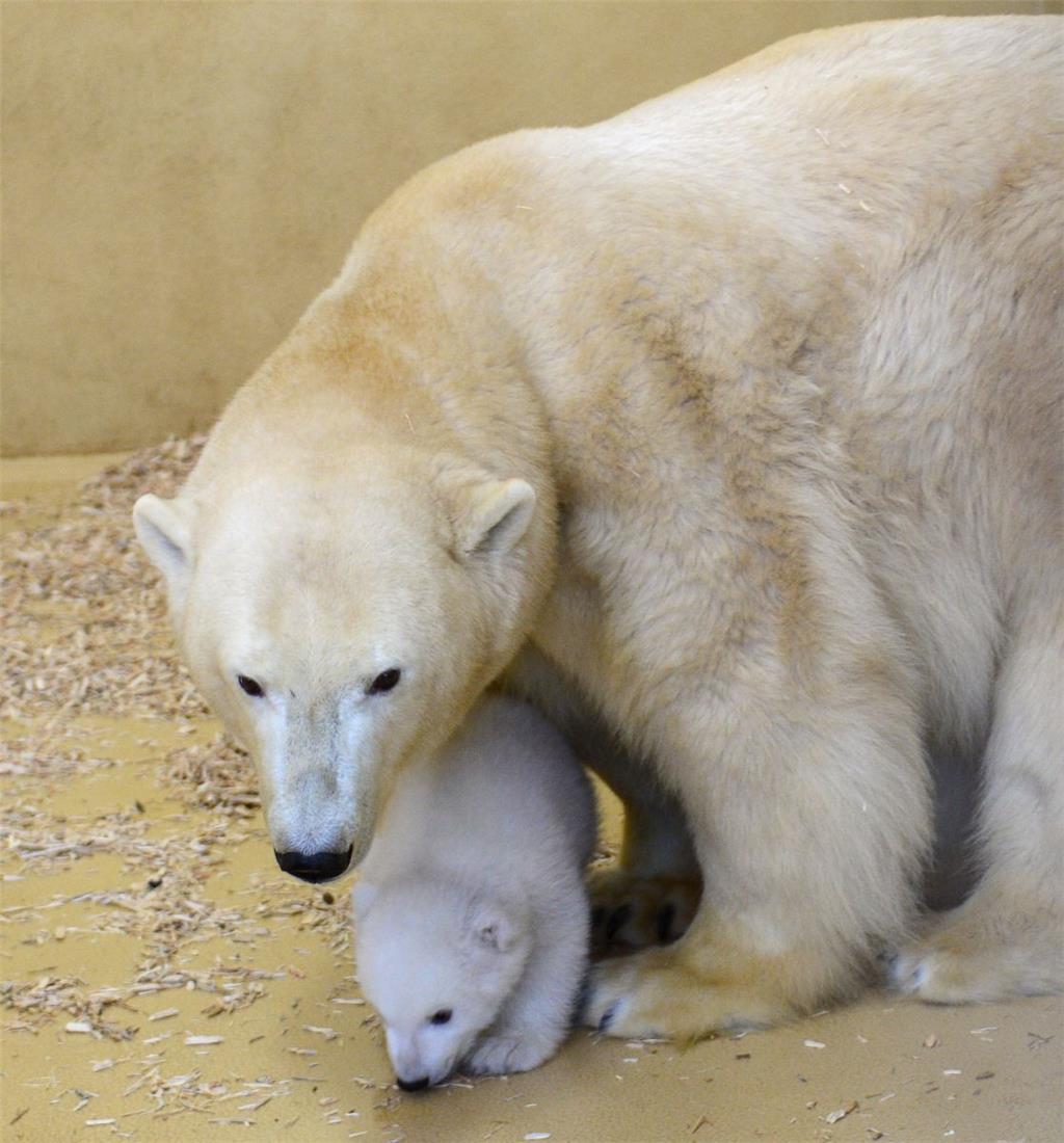 Mama Valeska und ihre Tochter - ein unzertrennliches Gespann.