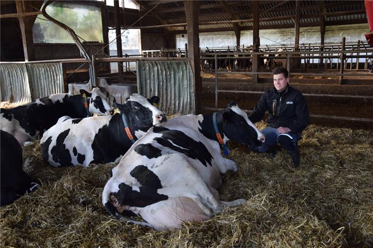 100.000 Liter Milch: Zwei Hochleistungs-Kühe stehen in Rockstedt "Man muss die Tiere gut behandeln. Nur so kann man dauerhaft gut damit arbeiten und Spaß daran haben", sagt Landwirt Daniel Heins aus Rockstedt. Hier ist er mit zwei Hochleistungskühen zu sehen, 12 und 14 Jahre alt, die bereits mehr als 100.000 Liter Milch gegeben haben.