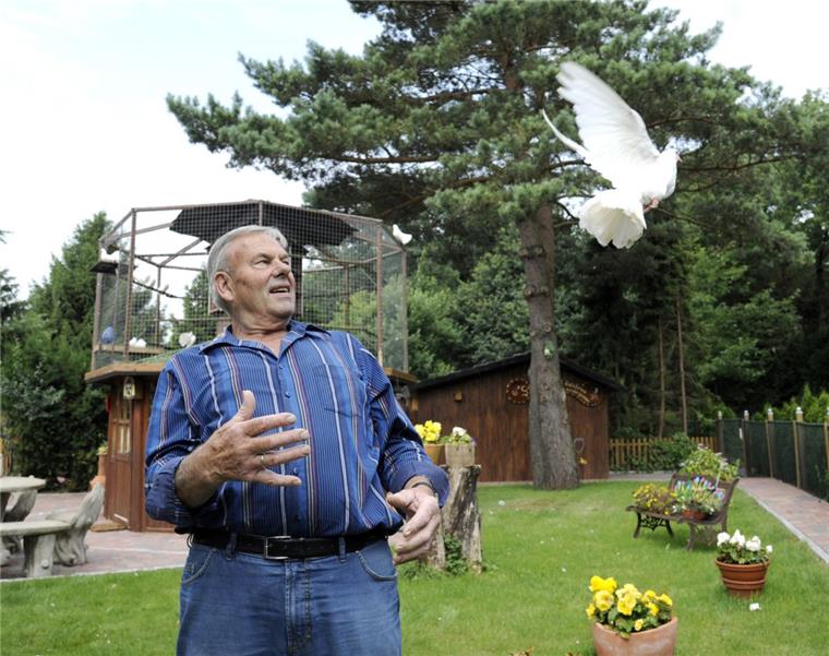 Die weißen Tauben vom Fleeth Manchmal zeigt Werner Meier faszinierten Passanten hinter dem Leher Friedhof seine weißen Ziertauben. Wenn eine hoch flattert, kommt sie sofort zurück, weil es keine Brieftauben sind.