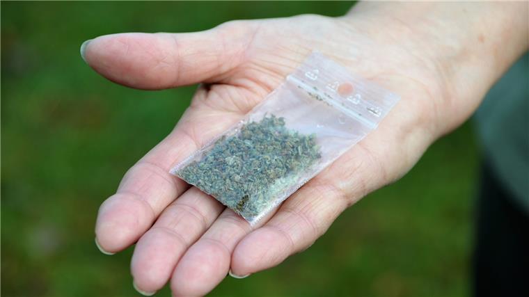 Bad Bederkesa: Wird an der Mühle mit Rauschgift gehandelt? Ein Tütchen mit Marihuana.