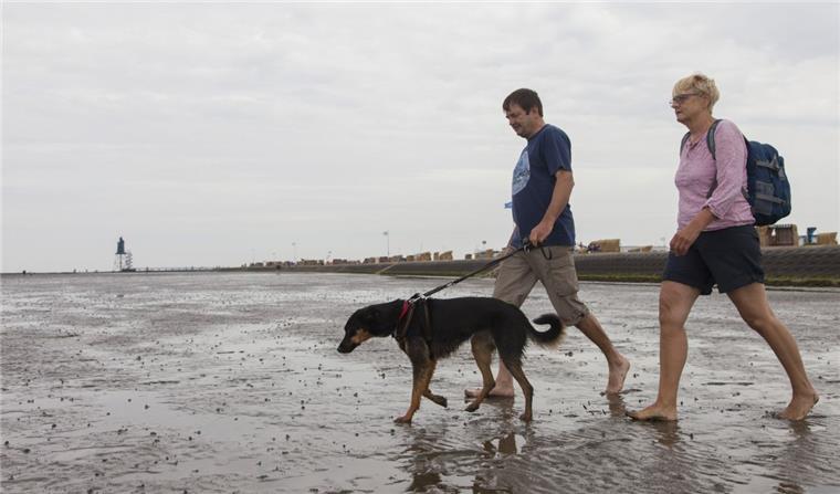 Wurster Nordseeküste: Hier wird es keine "Kurtaxe" für Hunde geben Martha und Heinz Speckmeyer schätzen Dorum-Neufeld seit Jahren als hundefreundlichen Urlaubsort. Zu Hause in Ostfriesland hätten sie kaum die Möglichkeit, mit ihrem Labrador-Border Collie-Mix Bonny am Strand oder im Watt spazieren zu gehen, sagt das Paar.
