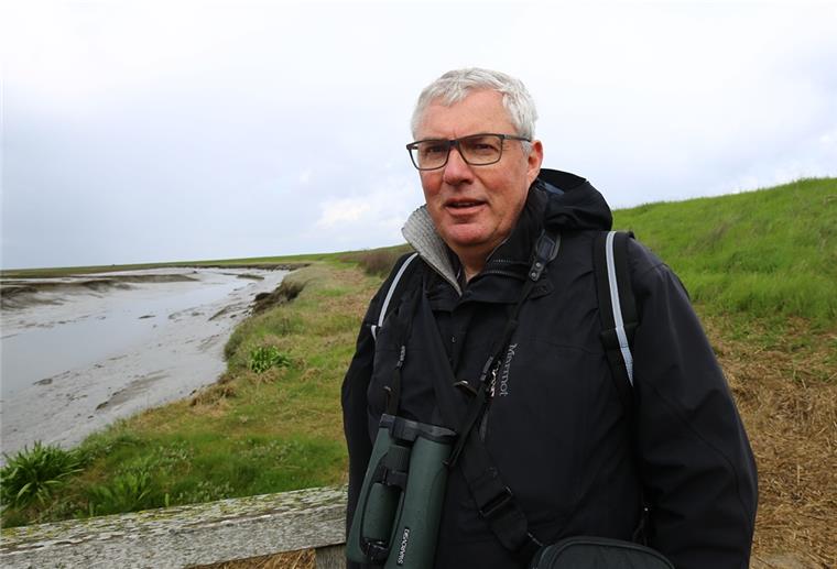 Martin Sprötge ist Geschäftsführer der Planungsgruppe Grün. Im Auftrag der Jade-Weser-Port Realisierungsgesellschaft hat der die Umsetzung der Kompensationsmaßnahme am Langwarder Groden begleitet.