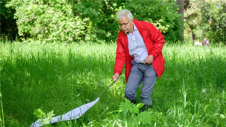 Aktuell viele Zecken unterwegs - So schützen Sie sich Masyar Monazahian, Zeckenexperte am Niedersächsischen Landesgesundheitsamt, sammelt jedes Jahr an ausgewählten Orten Zecken und untersucht sie unter anderem auf das FSME-Virus. (Archivbild)