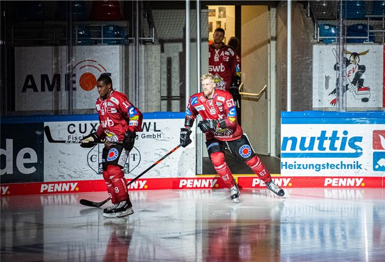 Pinguins empfangen die Düsseldorfer EG Maxime Fortunus und Stanislav Dietz (von links) freuen sich schon auf das zweite Spiel beim Magentasport-Cup.