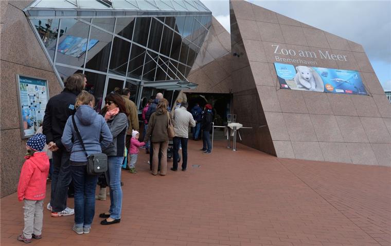 Mehr als 4000 Kundenmeinungen wurden ausgewertet. Ergebnis: Der Zoo am Meer landet auf dem 78. Platz.