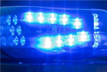 Mehrere Polizeifahrzeuge wurden zerstört.