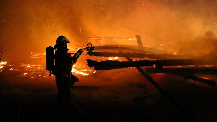 Rinder sterben bei Stallbrand im Kreis Wittmund Mehrere Rinder kamen bei dem Brand in den Flammen um. (Symbolbild)