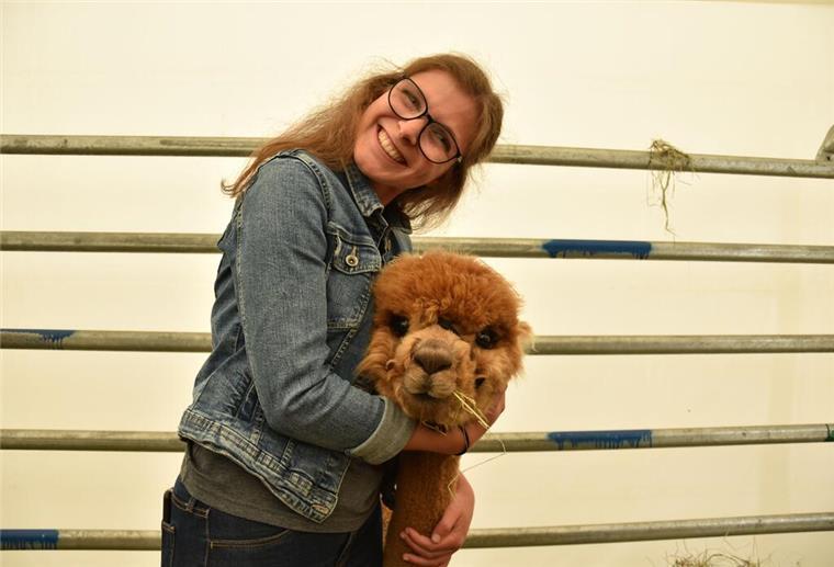 Kuscheln mit Alpakas - Tarmstedter Ausstellung Tarmstedter Ausstellung