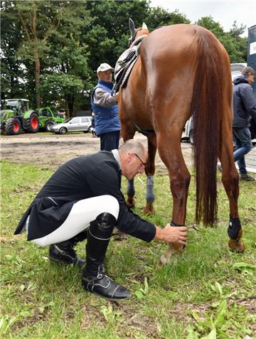 Michael Oetjen schaut sich noch einmal die Hufe seines Pferdes an. Foto: Scheschonka