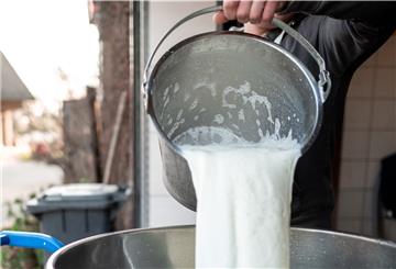 Milchbauern fordern höhere Preise von den Molkereien.