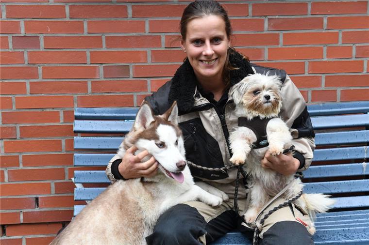 Bremerhavener "Internet-Welpen" müssen nicht zum Verkäufer zurück Minnesota und California dürfen nun mit Tierpflegerin Nadine Bruns ohne Schutzanzug spielen und schmusen. Die jungen Hunde genießen ihre Freiheit nach der sechsmonatigen Quarantäne.