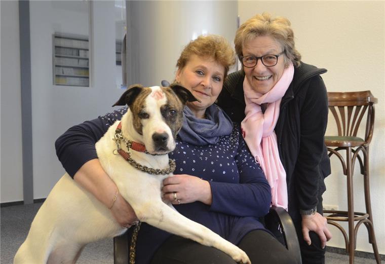 Sandbostel: Warum Tiere nicht unter den Weihnachtsbaum gehören Mischlingshund „Toni“ freut sich, dass er vorübergehend ein neues Zuhause gefunden hat: Christine Behrens (links) und Dr. Sabine Foerster vom „Tiergnadenhof Rasselbande“ haben den Fundhund aufgepäppelt. Zu Weihnachten hofft der Verein auf spendenfreudige Bürgerinnen und Bürger aus der Region.