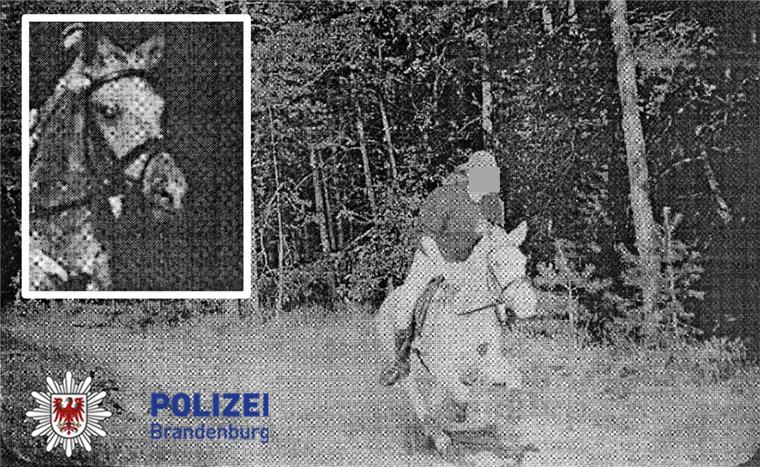 Kurioses Blitzerfoto: Pferd rast in Radarfalle Mit 43 km/h ist in Brandenburg im Jahr 2005 eine Reiterin geblitzt worden. Veröffentlicht hat dieses Bild die Brandenburger Polizei in ihrem Adventskalender am Nikolaustag bei Facebook.