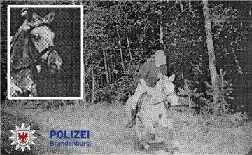Mit 43 km/h ist in Brandenburg im Jahr 2005 eine Reiterin geblitzt worden. Veröffentlicht hat dieses Bild die Brandenburger Polizei in ihrem Adventskalender am Nikolaustag bei Facebook.