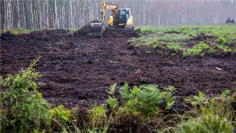 Mit Baggern und Raupenschleppern wird auf einer neue Fläche im Göldenitzer Moor die obere Bodenschicht abgetragen und die spätere Ernte des Torfs vorbereitet.