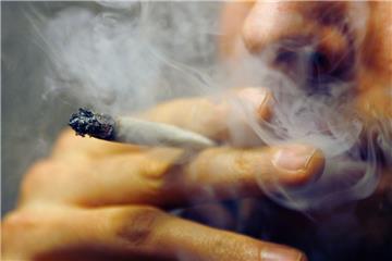 Mit Cannabis-Konsumenten haben die Berater der Fachstelle Sucht Rose 12 am meisten zu tun. 