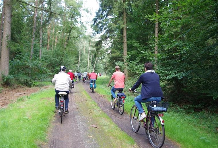 Mit dem Fahrrad zu Zielen der Dorfentwicklung Mit dem Fahrrad geht es am 31. Juli durch die Dorfregion Selsingen-Südgemeinden, zu denen die Gemeinden Ostereistedt, Rhade und Seedorf gehören.
