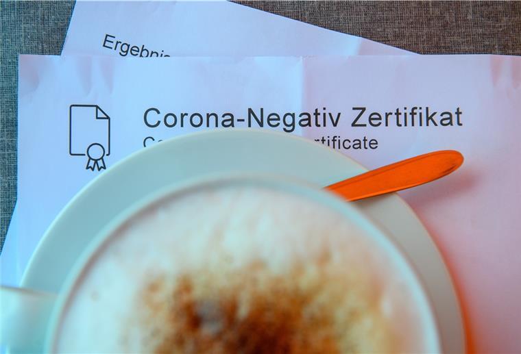 Europaparlament gibt grünes Licht für Covid-19-Zertifikat Mit dem Zertifikat soll das Reisen in der Europäischen Union wieder erleichtert werden.