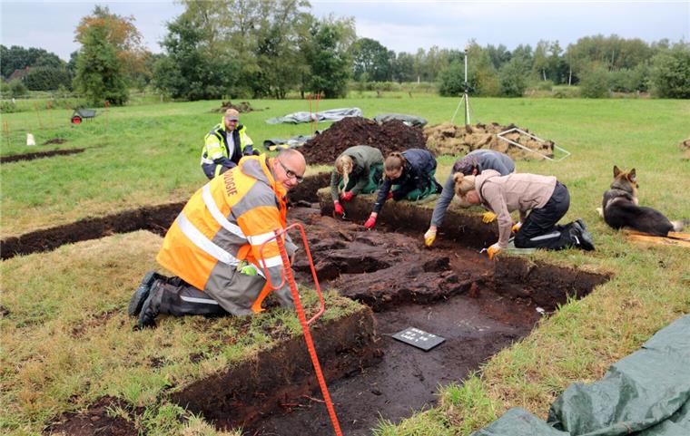 Gnarrenburg: Archäologen zeigen Verkehrswege durchs Moor Mit der Schaufel in der Hand legt das Team um Dr. Stefan Hesse (hinten, links) und Ingo Neumann (vorne) von der Kreisarchäologie Rotenburg den urgeschichtlichen Bohlenweg bei Gnarrenburg frei.