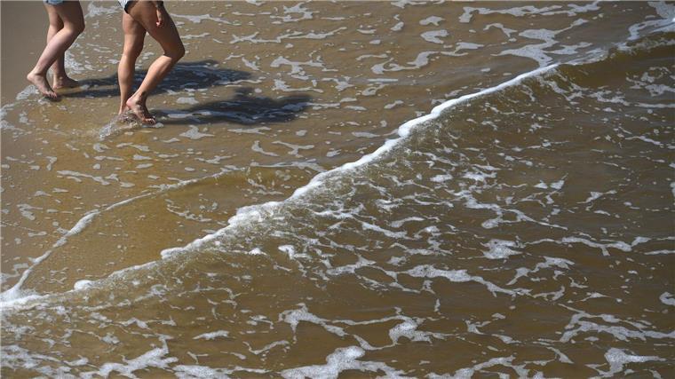 Mit der sommerlichen Hitze steigt das Risiko für Vibrionen-Infektionen an Nord- und Ostsee.