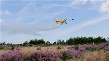 Mit einem Löschflugzeug üben Einsatzkräfte im Harz die Waldbrandbekämpfung.
