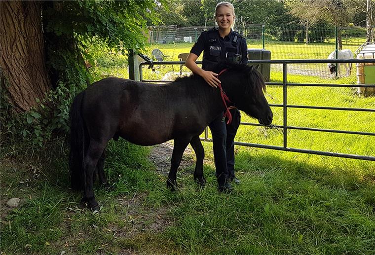 Pony im Liebesrausch ausgebüchst Mit einem Riesensprung über den Weidezaun war das Pony einer Stute gefolgt. Passanten und diese Polizeibeamtin konnten das Tier stoppen.