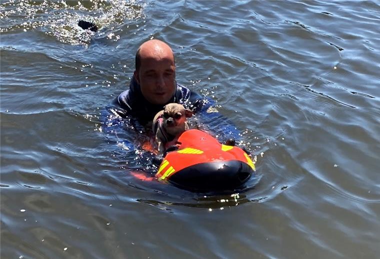 Feuerwehr rettet Chihuahua „Oksy“ aus der Weser Mit einem sogenannten Seabob wurde der Hund an Land gebracht.