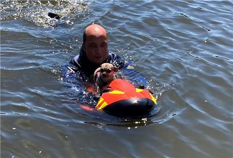 Mit einem sogenannten Seabob wurde der Hund an Land gebracht.