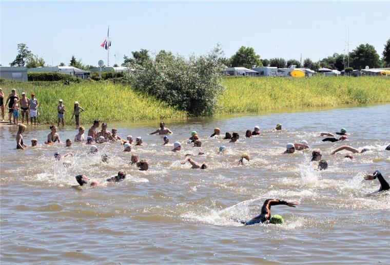Hermann-Allmers-Schwimmen: 60 Teilnehmer steigen in die Weser Das Hermann-Allmers-Schwimmen