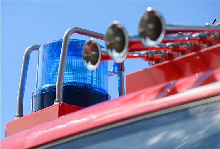 Mit Hilfe der Feuerwehr, des Rinderhalters und der Polizei konnten die Tiere zurück in den Stall gebracht werden. 