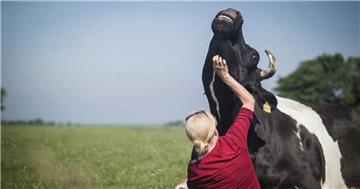 Mit ihrem Kuhaltersheim Hof Butenland wollen Karin Mück und Jan Gerdes eine neue „Kuhltur“ etablieren. Hier dürfen die Tiere einfach die Seele baumeln lassen. 