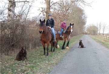 Mit ihren Pferden und ihren Hunden waren Vanessa Hahn (links) und Katharina Tietje auf diesem befestigten Wirtschaftsweg im Bereich „Rosengarten“ in Debstedt unterwegs, als es zur Begegnung mit Jagdpächter Bernd Demelt kam.