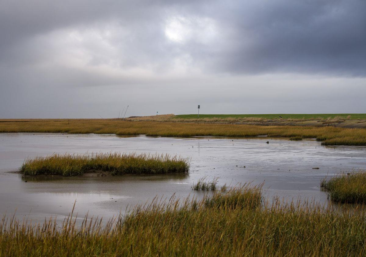Wurster Nordseeküste setzt auf nachhaltigen Tourismus Mit ihrer einzigartigen unberührten Natur will die Gemeinde Wurster Nordseeküste punkten.