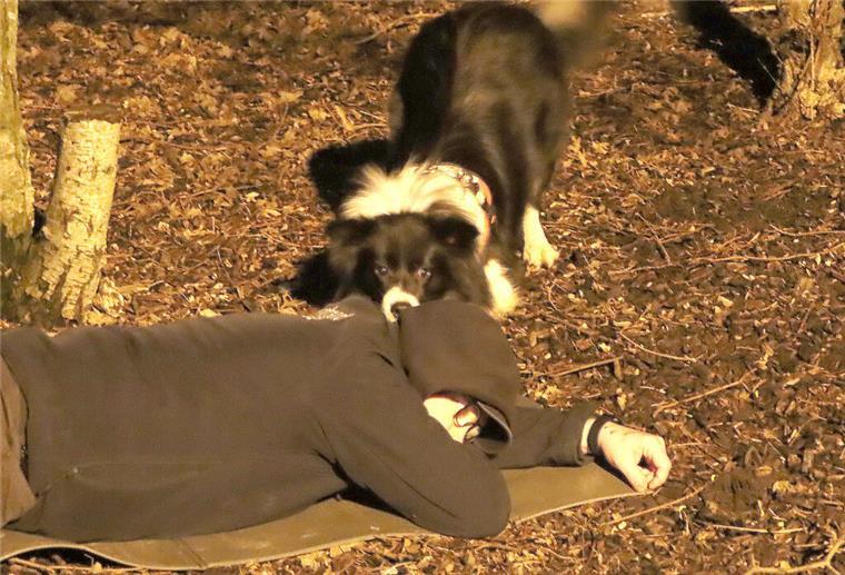 Spürnasen auf vier Beinen: Hunde sind die perfekten Partner für die Rettung Mit ihrer feinen Nase helfen Hunde, wie hier nach einem Erdbeben, Menschen zu finden und zu retten.