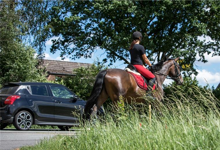 Tiere im Straßenverkehr: So verhält man sich richtig Mit möglichst viel Abstand und ohne Hupen geht es sicherer an Reitern vorbei.
