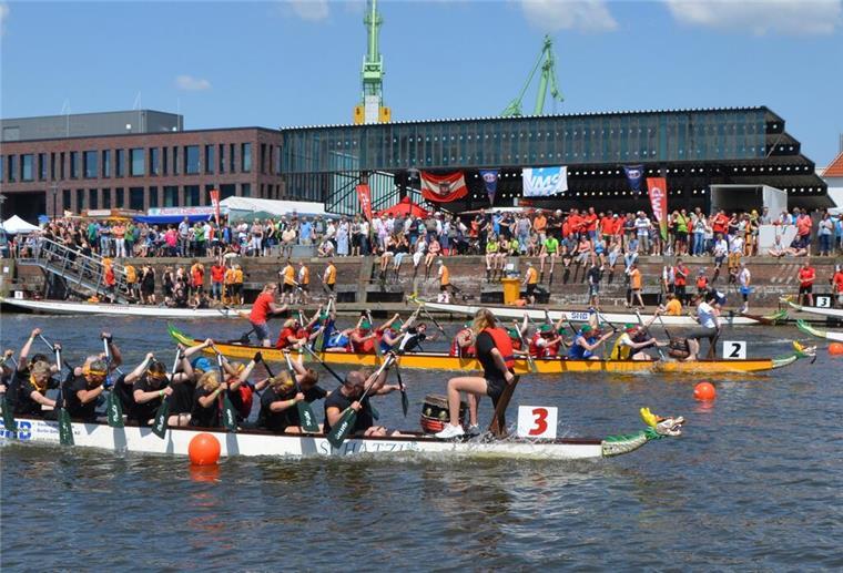 Drachenboot-Cup in Bremerhaven: Hafenbecken wird zur Wettkampfzone Drachenboot-Cup im Schaufenster Fischereihafen