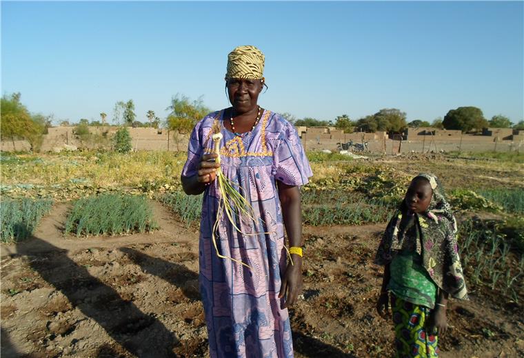 Nordenhamer spenden 17.500 Euro für Mali Mit Nordenhamer Spendengeld wird ein landwirtschaftliches Projekt in der Region Mopti in Mali unterstützt.