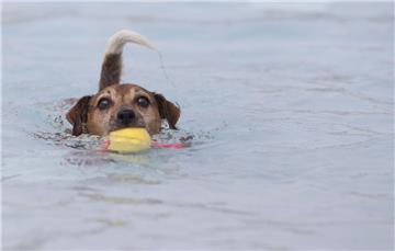 Mit Spielzeug macht das Baden im Watt&apos;n Bad gleich noch mehr Spaß:.