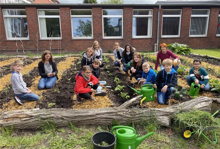 Ackerprojekt in Abbehausen: Grundschüler bauen Gemüse an Mit Unterstützung durch die AOK und den Verein Acker e.V. haben Schülerinnen und Schüler der 4b der Grundschule Abbehausen auch in diesem Jahr wieder den schuleigenen Acker bepflanzt.